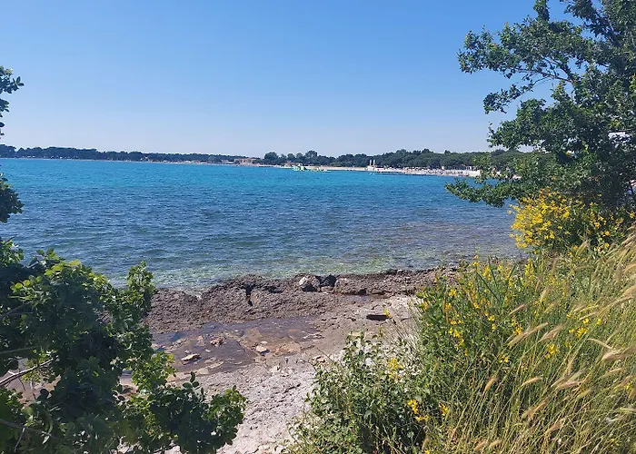 Apartment Modernes Mit Grosser Terrasse